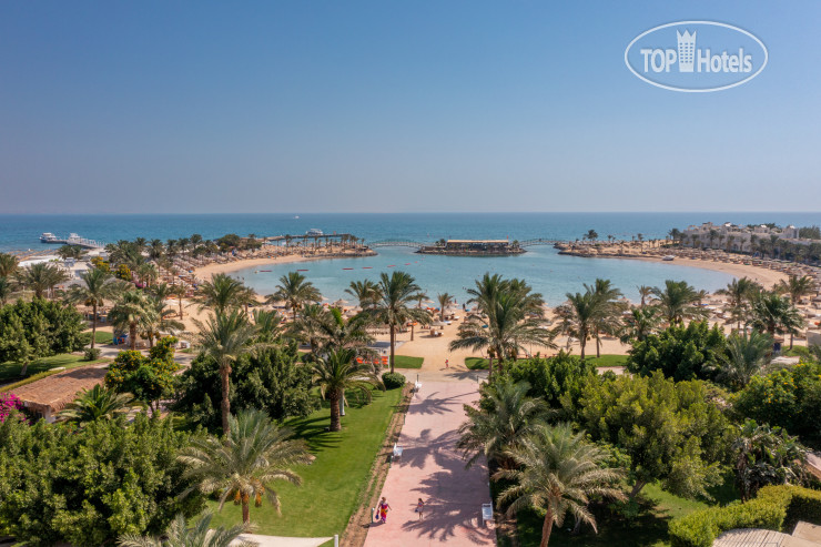 New photos from tourists Desert Rose Resort 5*