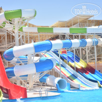 AMC Royal Hotel & Spa