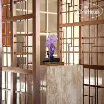 Serenity Sky Arc Resort Sahl Hasheesh 