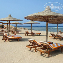 Roots Luxury Camp Redsea