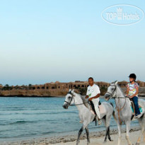 Movenpick Resort El Quseir 
