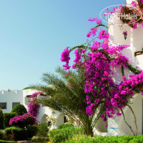 Three Corners Equinox Beach Resort 