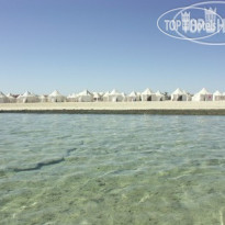Chalette Marsa Shagara