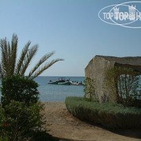 Chalette Marsa Shagara