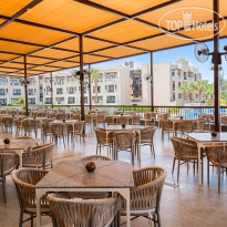 Pickalbatros Oasis Hotel - Port Ghalib Terrace бар
