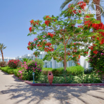 Amarante Garden Palms (ex Tropicana)