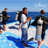 Camel Dive Club & Hotel