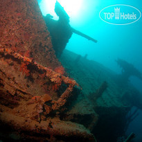 Camel Dive Club & Hotel
