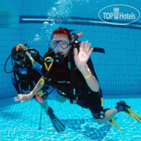 Camel Dive Club & Hotel