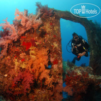 Camel Dive Club & Hotel