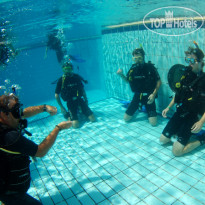 Camel Dive Club & Hotel