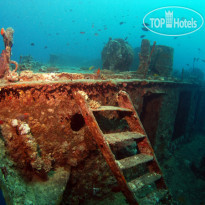 Camel Dive Club & Hotel