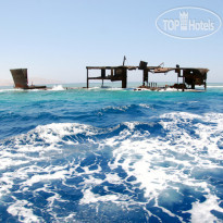 Camel Dive Club & Hotel