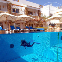 Camel Dive Club & Hotel