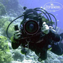Camel Dive Club & Hotel