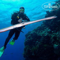Camel Dive Club & Hotel