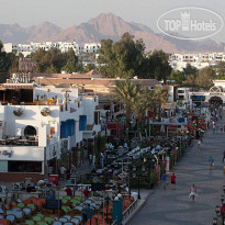Camel Dive Club & Hotel