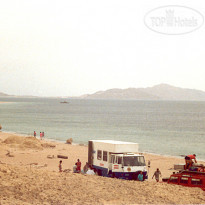 Camel Dive Club & Hotel