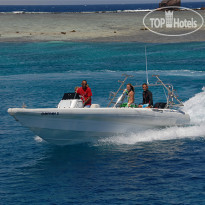 Camel Dive Club & Hotel