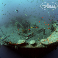 Camel Dive Club & Hotel