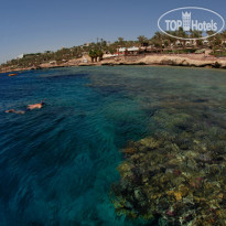 Camel Dive Club & Hotel