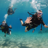 Camel Dive Club & Hotel