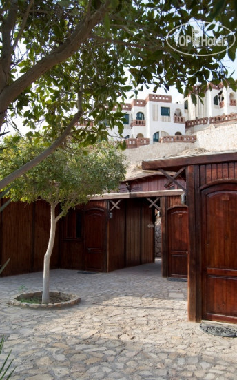 Hotelier's photos Sharks Bay Umbi Diving Village 3*