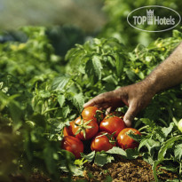 Movenpick Resort Sharm El Sheikh Naama Bay 