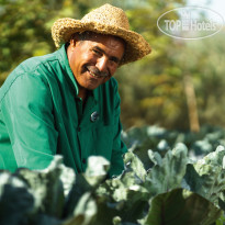 Movenpick Resort Sharm El Sheikh Naama Bay 