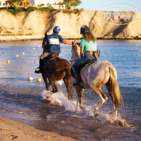 Movenpick Resort Sharm El Sheikh Naama Bay 