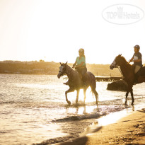 Movenpick Resort Sharm El Sheikh Naama Bay 