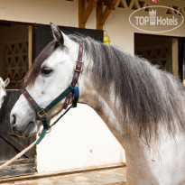 Movenpick Resort Sharm El Sheikh Naama Bay 