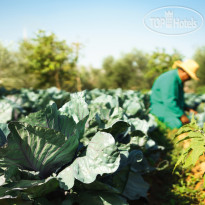 Movenpick Resort Sharm El Sheikh Naama Bay 