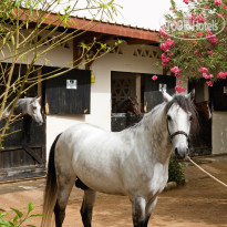 Movenpick Resort Sharm El Sheikh Naama Bay 