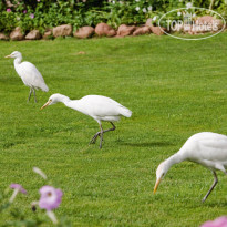 Movenpick Resort Sharm El Sheikh Naama Bay 