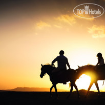 Movenpick Resort Sharm El Sheikh Naama Bay 