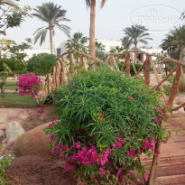 Aurora Oriental Resort Sharm El Sheikh