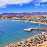 Albatros Sharm Resort - Sharm El Sheikh 4*