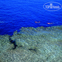 Dreams Beach Resort Sharm El Sheikh 