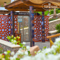 Safir Sharm Waterfalls Resort 