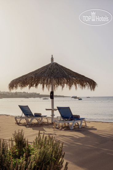 Пляж в Sun Club Premium Playa Del Ingles 4*