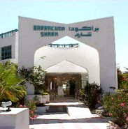 Hotel photo Baracuda (закрыт) 3*