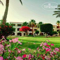 Royal Regency Club Landscape