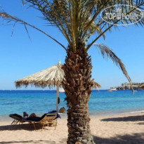 Sharm Dreams Vacation Club - Aqua Park 