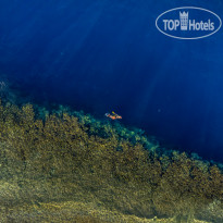 Rixos Sharm El Sheikh - Adults Only 