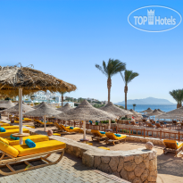 DoubleTree by Hilton Sharks Bay Resort 