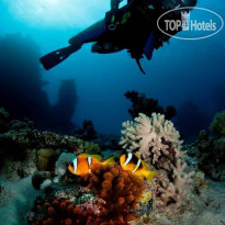Cleopatra Luxury Resort Sharm El Sheikh