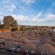 Xperience St. George Homestay коралловый пляж «Hilltop Beach