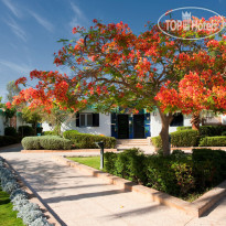 Ghazala Beach Hotel 