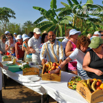 Domina Coral Bay Sultan 